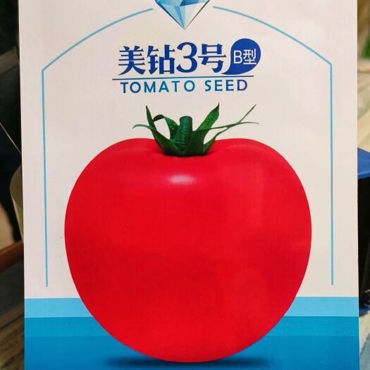 湘乡市西红柿种子 大红果番茄种子 无限生长型春秋播1克