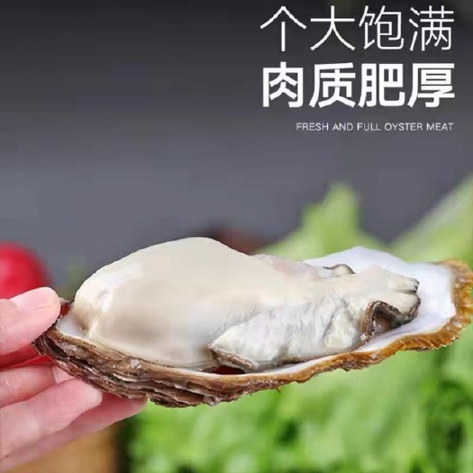 乳山市乳山高品质生蚝  产地直发  包售后