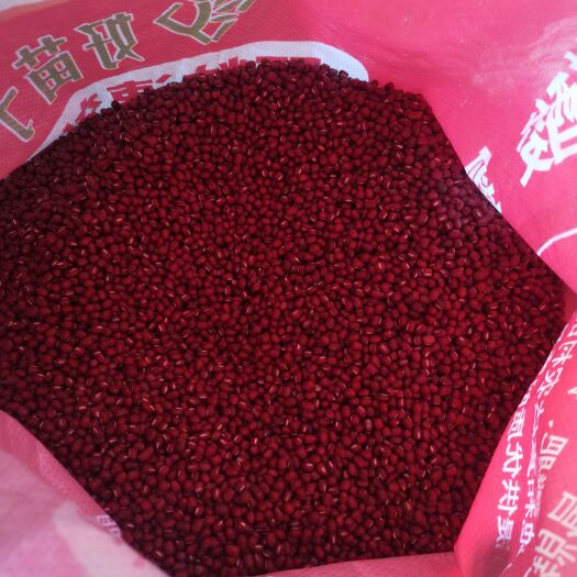 威海红豆 自己农场种植，人工收割，颗粒饱满，皮薄易碎味道香甜