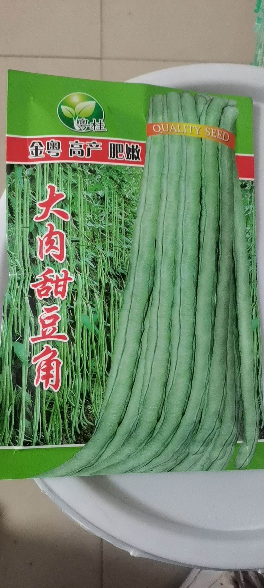 南宁豆角种子油白型大肉甜豆角珠仔豆肥嫩广西广东海南全区可种