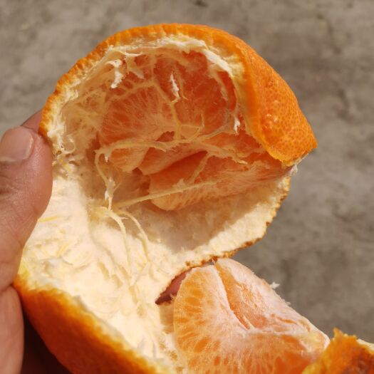 眉山耙耙柑高次