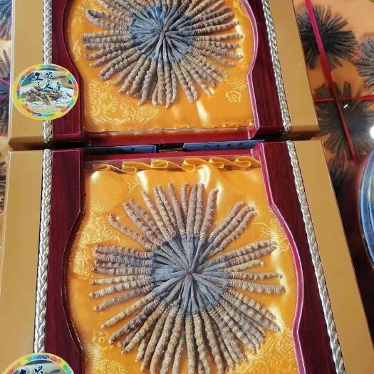 壤塘县 虫草，