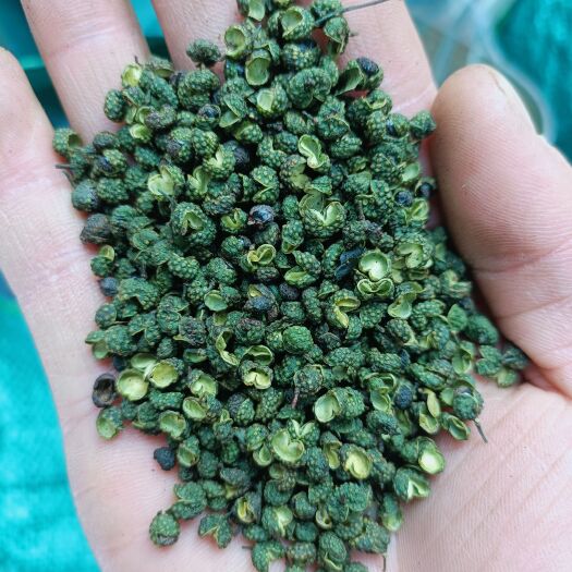 成都 精品青花椒，四川基地麻椒，颜色翠绿，特级质量，