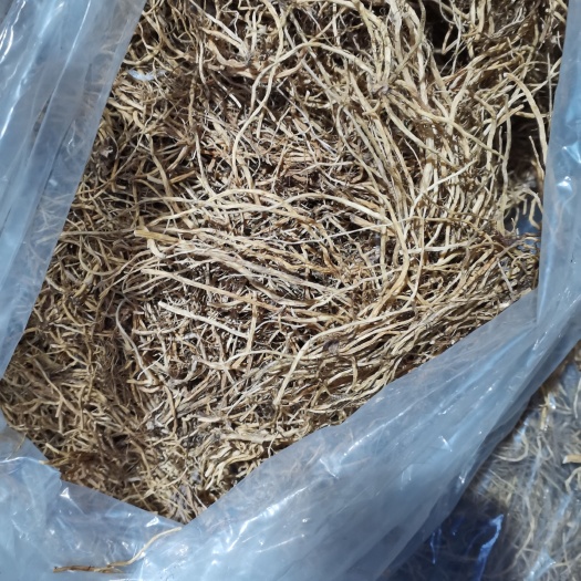 抚顺县东北龙胆草，烘干，无杂