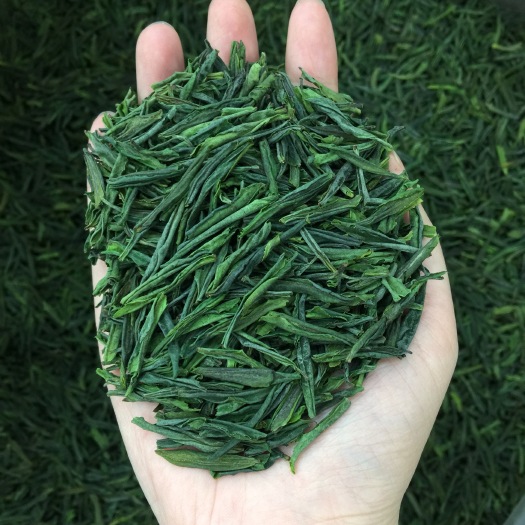 金寨县六安瓜片新茶 今年明前绿茶优质 包邮