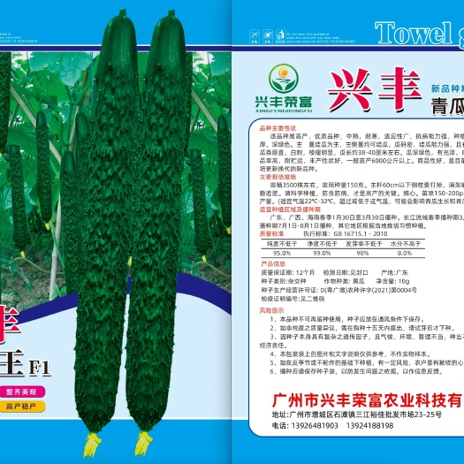 广州黄瓜种苗 耐热青瓜苗