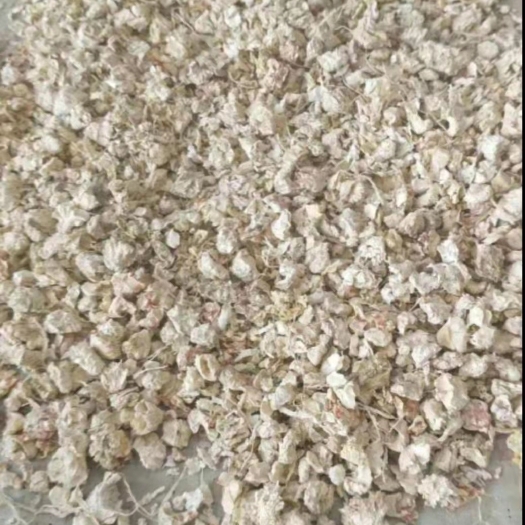 高台县玉米芯，牛羊饲料