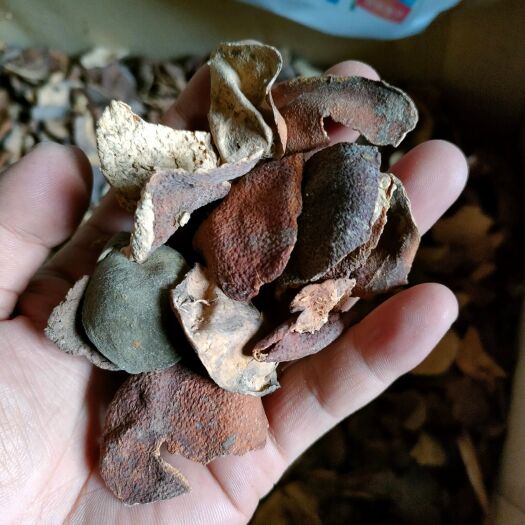 兰州40年陈皮