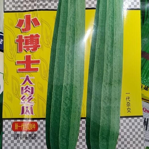 遂溪县小博士大肉丝瓜种子