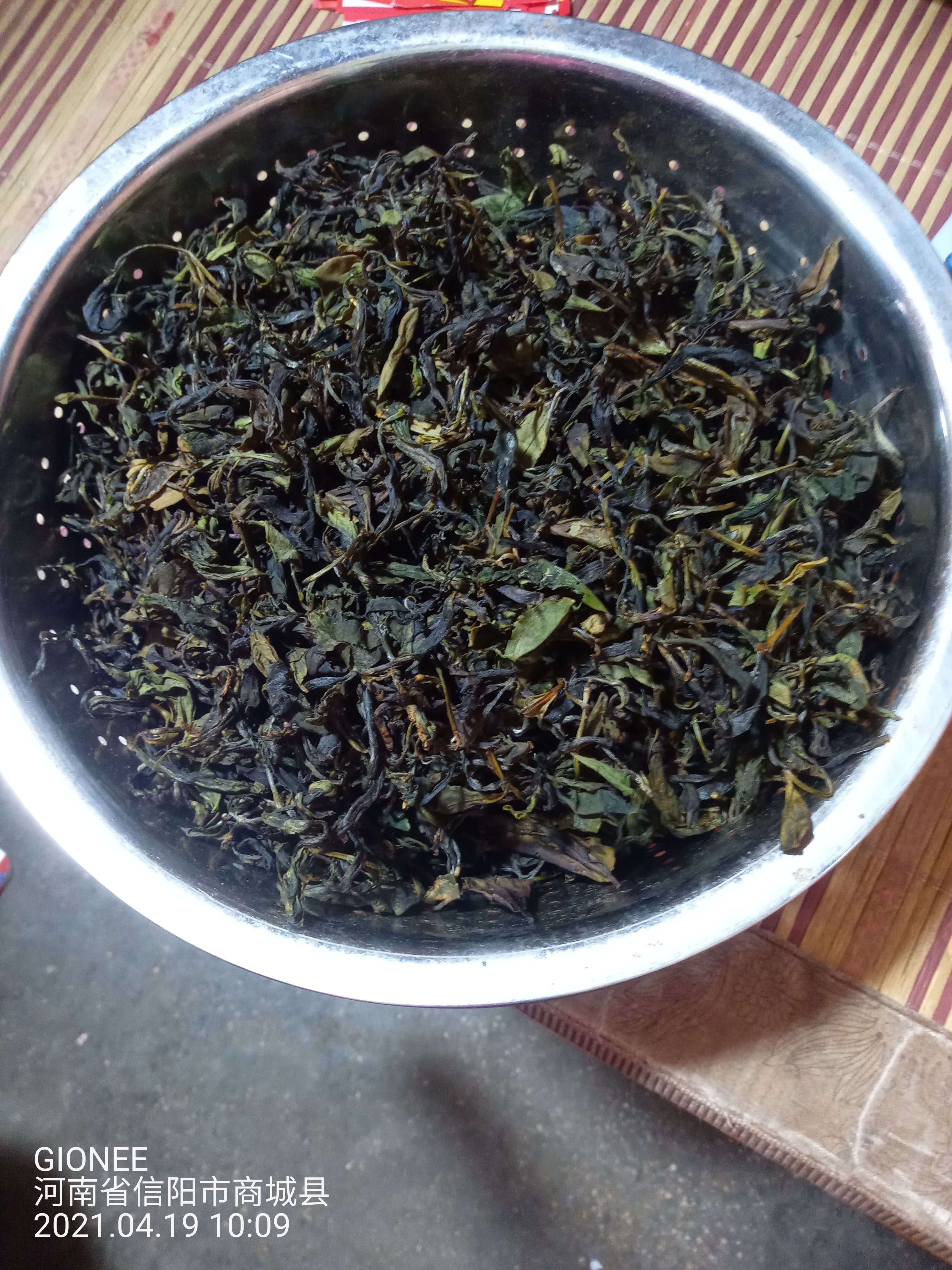 信阳绿茶