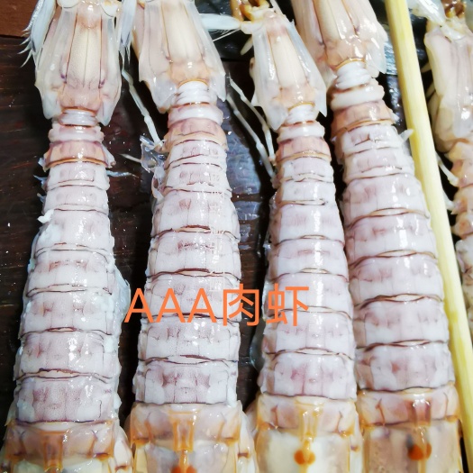 北海AAA皮皮虾爬爬虾濑尿虾(中小号13-16只/斤)工厂直销