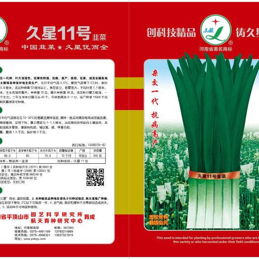 韭菜种子 久星11杂交一代韭菜种，抗寒耐热，叶色深绿