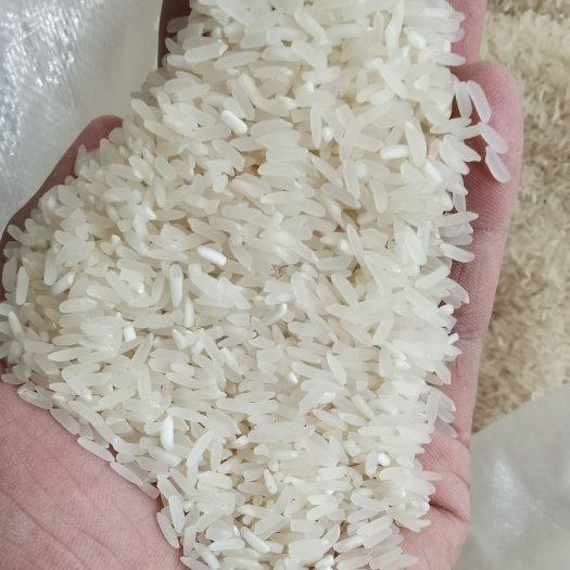 连州市 农家油粘米（晚造）