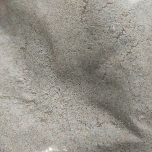 石家庄 小麦次粉