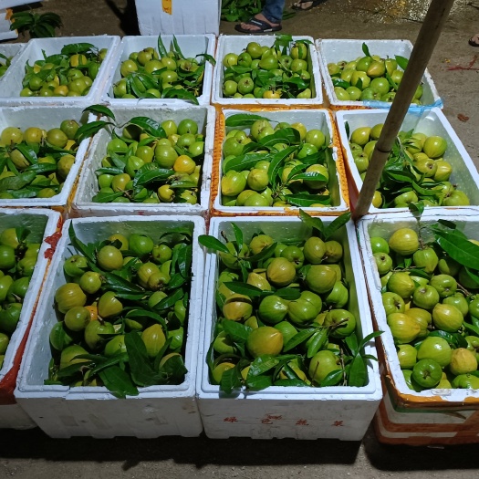 万宁市耀堂仙桃蛋黄果