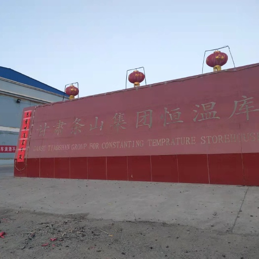 景泰县甘肃景泰条山蜜梨