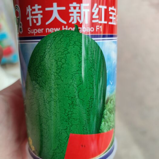 南昌特大新红宝西瓜种子，50克