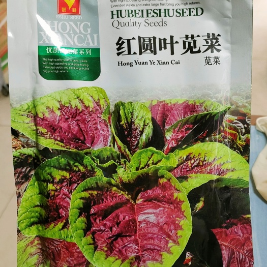  苋菜种子 红圆叶苋菜种子 产量高好吃春夏秋播种250克
