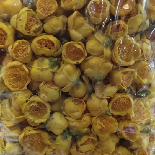 广西防城港十万大山金茶花茶叶