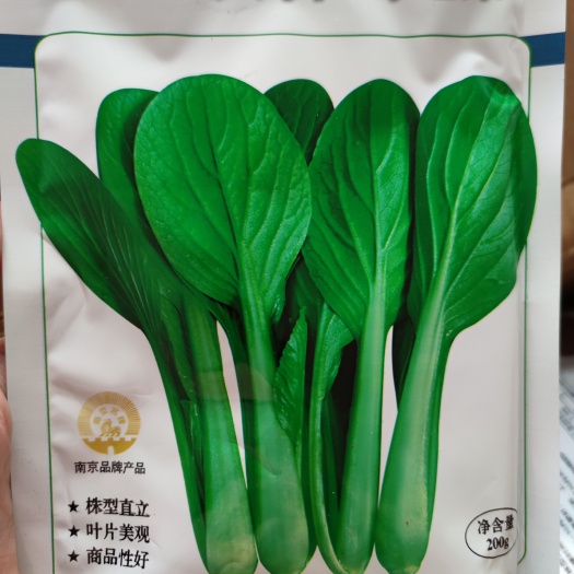小白菜种子 铁杆鸡毛菜种子200克，叶片绿色梗翠绿色整齐度好