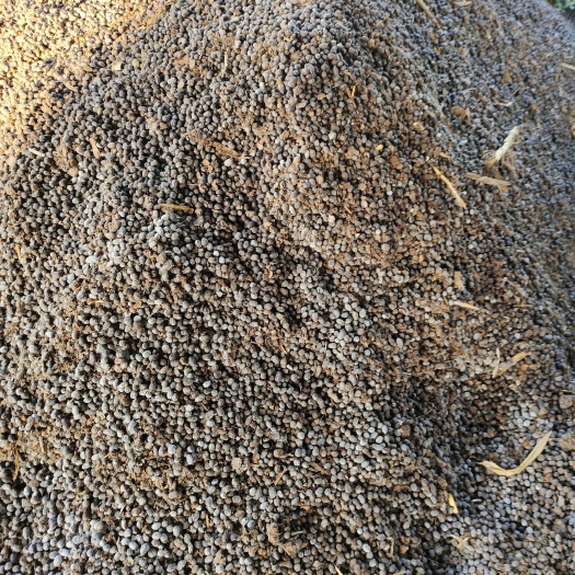 霍山县 纯羊粪，有需要的种植户可以和我联系