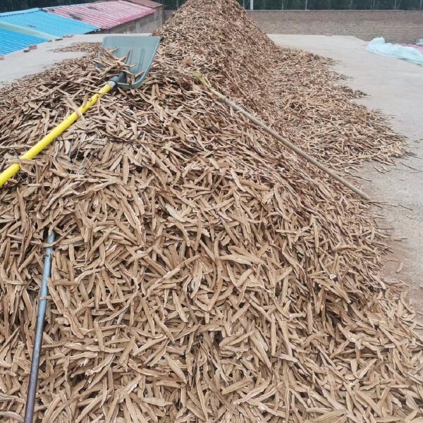 灵芝切片 赤灵芝切片 一手货源，产地直销 一件代发