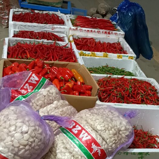 阳朔县朝天椒 红米椒