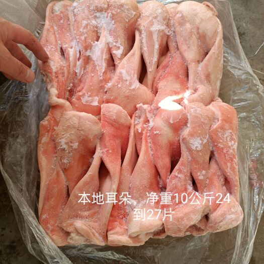昆明 本地肥猪耳朵，