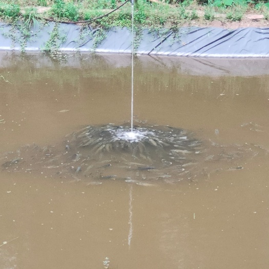 重庆市水产养殖用地 