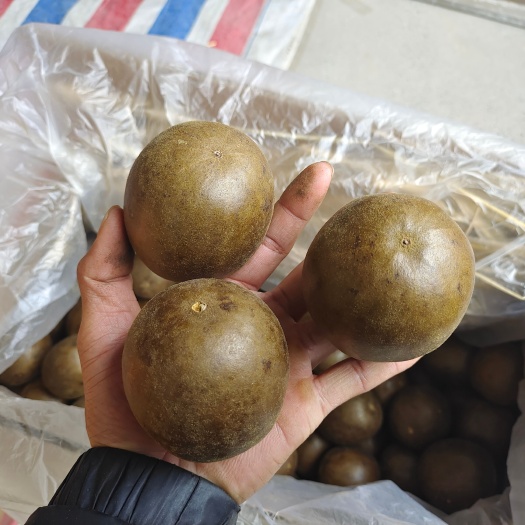 玉林罗汉果广西桂林特产罗汉果各种规格 大小量批发价