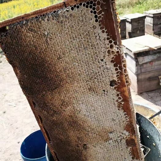 师宗县百花蜜 自产自销蜂蜜  喜欢的朋友来电   批发零售各种蜂蜜