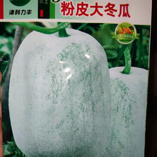 南昌粉皮大冬瓜种子，单果10斤以上，亩产7000公斤