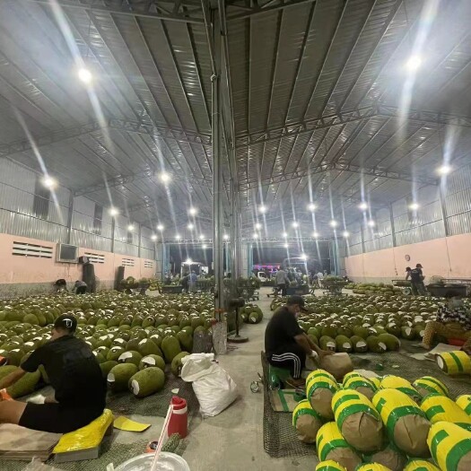 凭祥市 越南红肉干包菠萝蜜