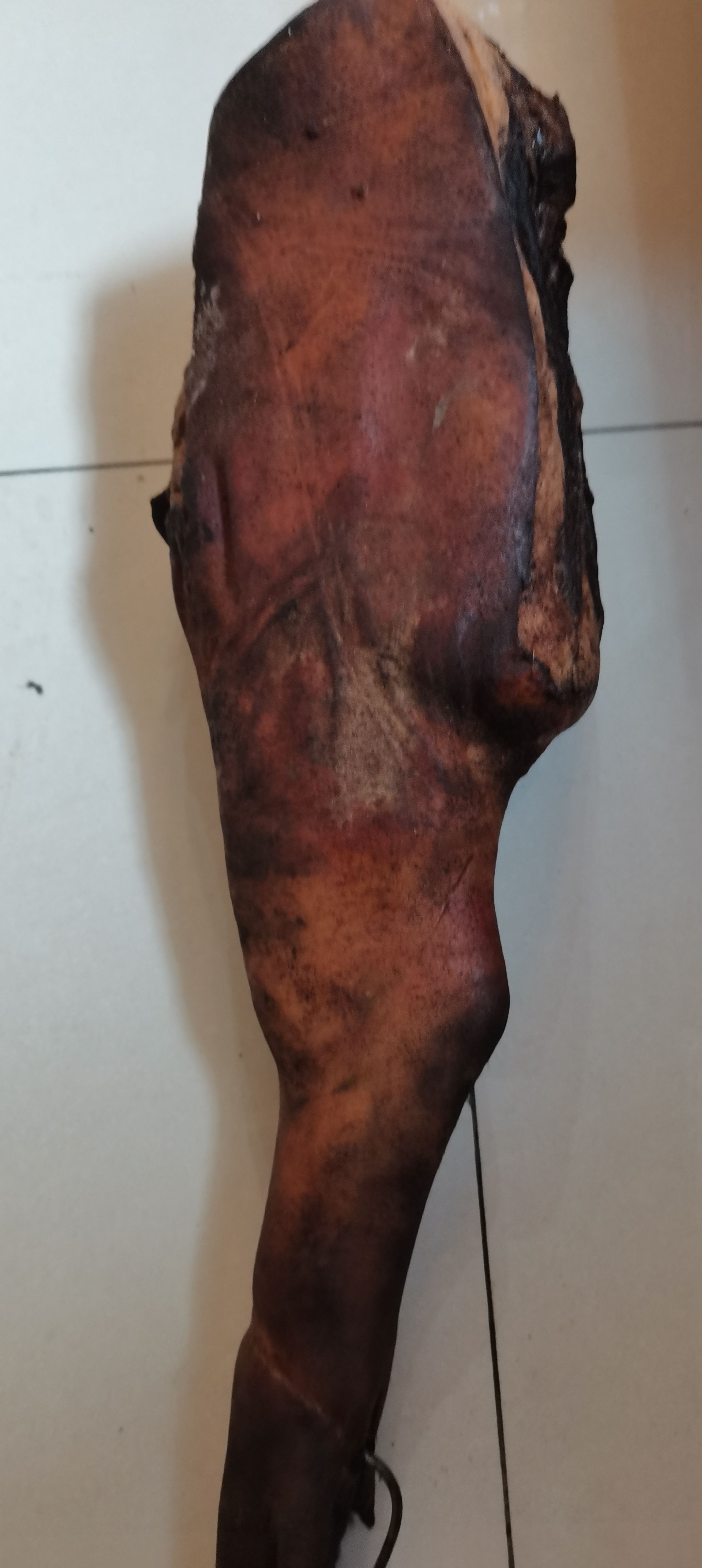 后腿肉 湖北恩施高山土腊蹄