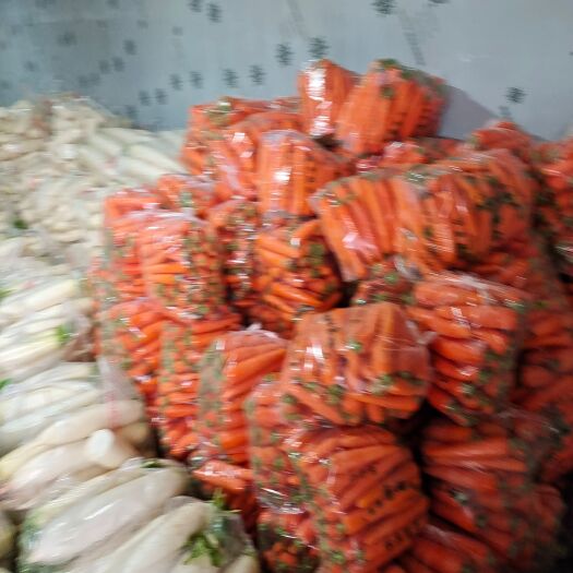 万安县胡萝卜 富硒产品红萝卜