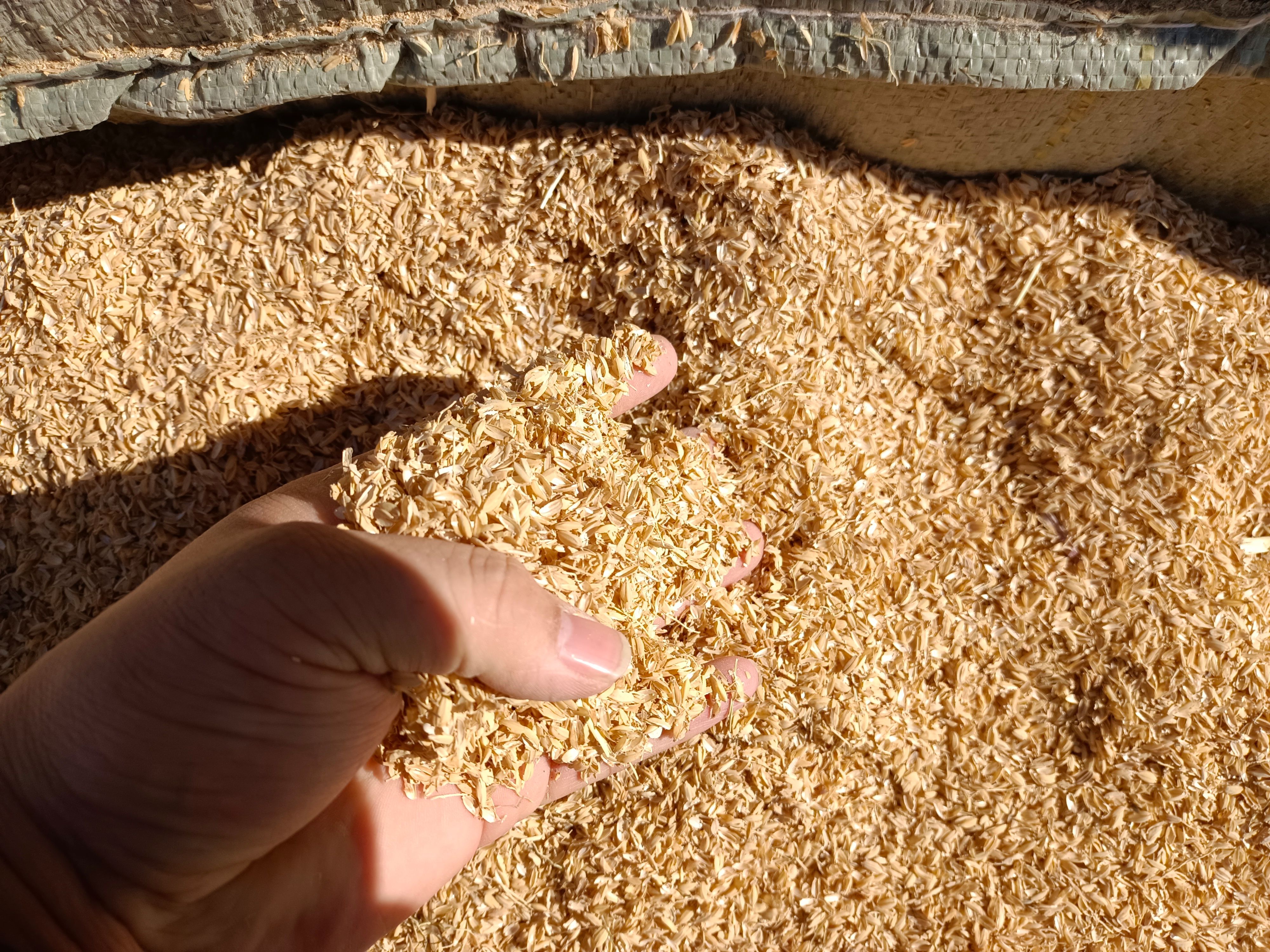 压缩稻壳 东北稻壳