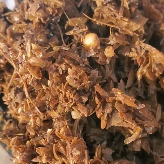 锦州 玉米白酒糟