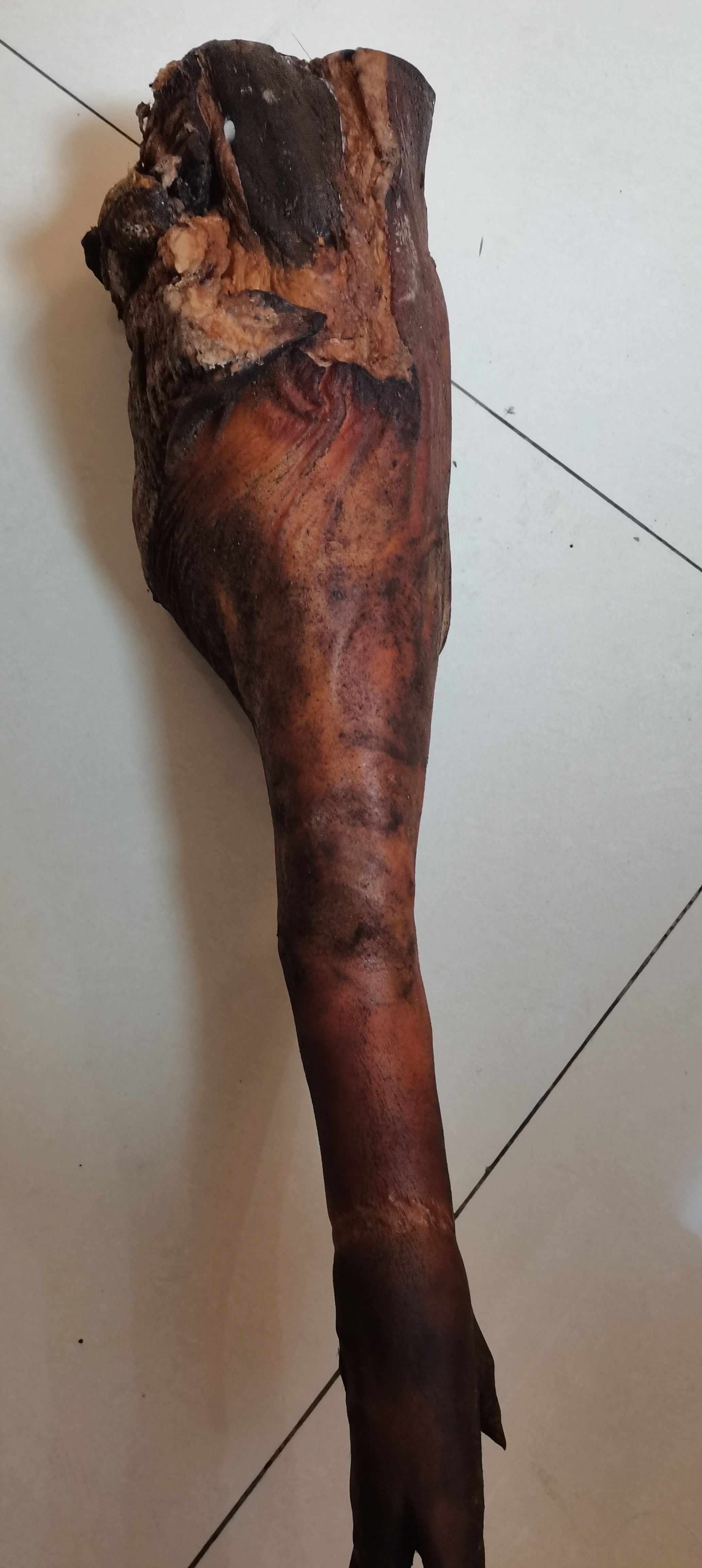 后腿肉 湖北恩施高山土腊蹄