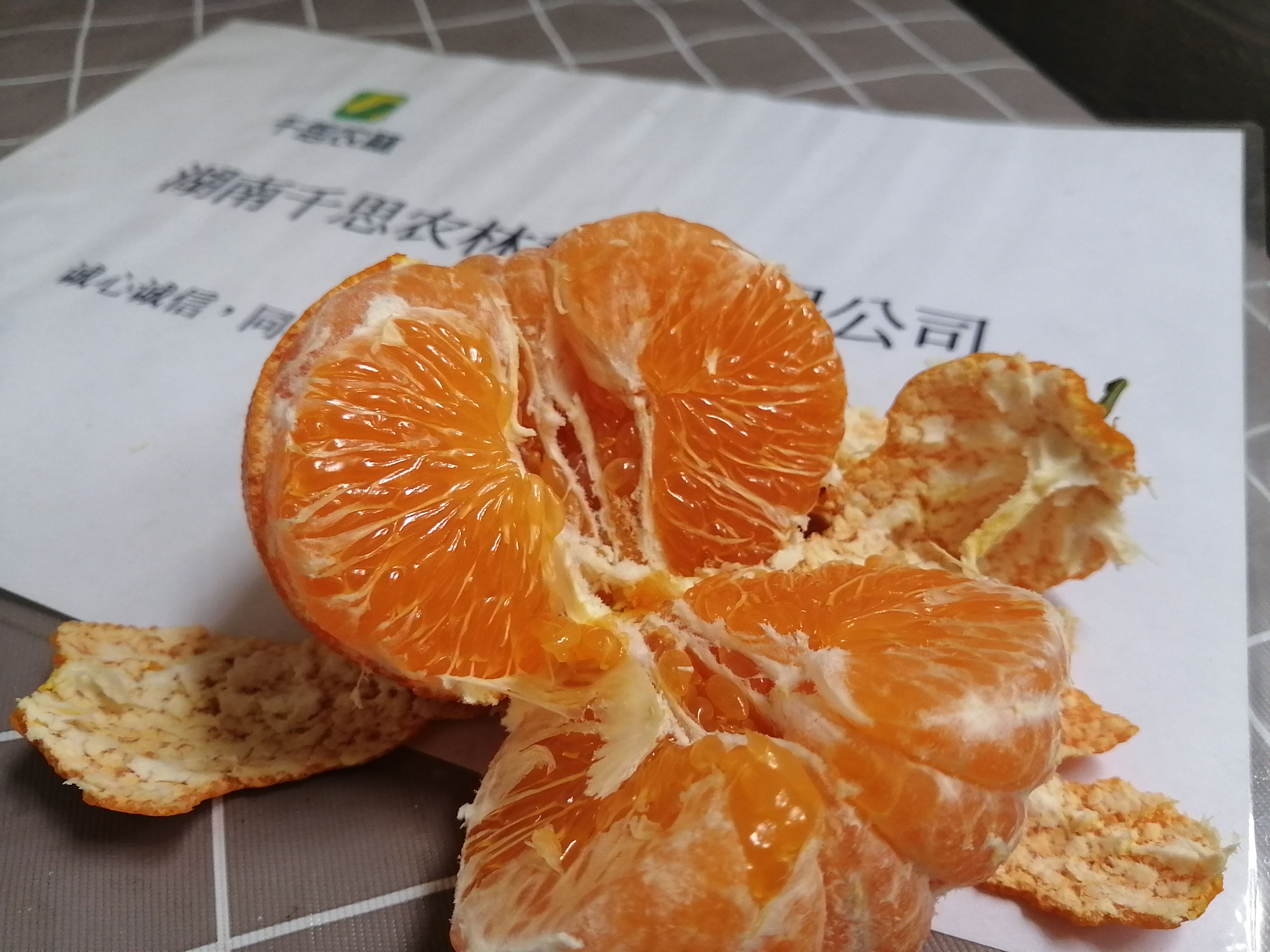 甘平柑橘苗 甘平杂柑苗 柑橘高糖无核品种 甘平属于大果型晚熟