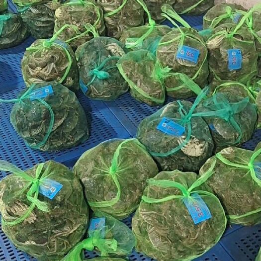 兴化市兴化大闸蟹红膏大螃蟹