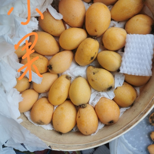 米易县四川米易枇杷大果24/斤，小果15/斤，产地发货，品质保证