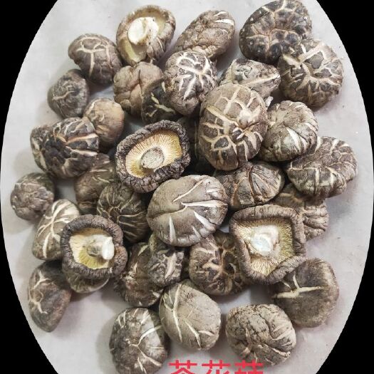 随县 干香菇各种规格的剪脚红茶花菇 肉厚品质有保证 2.5-3.0