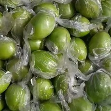 平南县广西平南青枣牛奶枣 2025年上市中…欢迎各地老板 电商合作