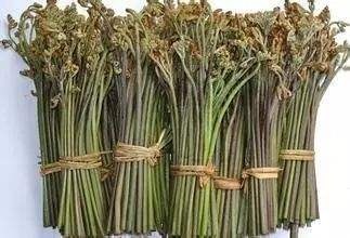 安顺 有需要鲜蕨菜的老板联系，预定
