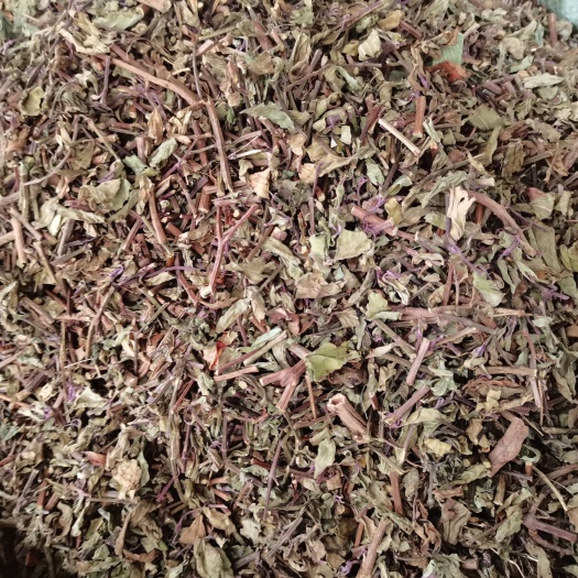 玉林猫须草 肾茶