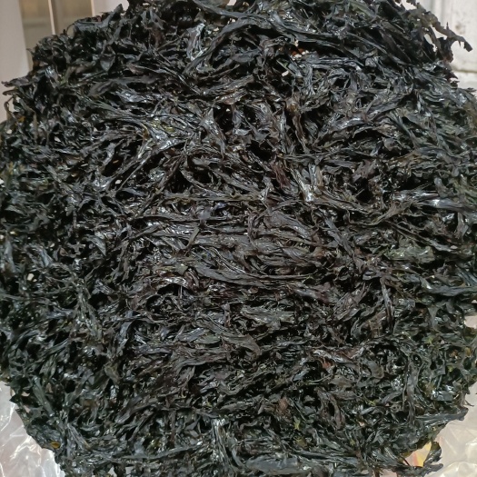 甘紫菜 紫菜