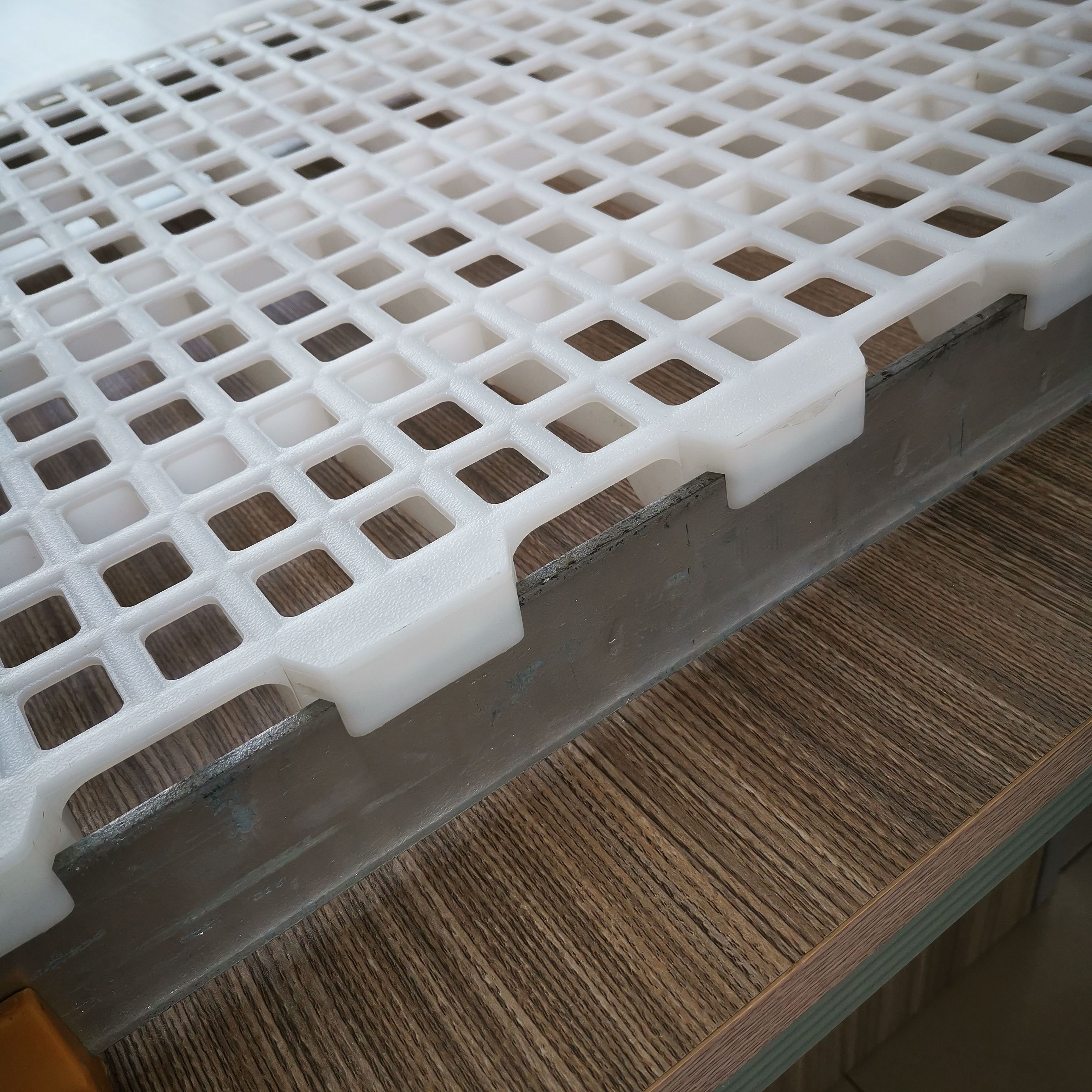 塑料鸡鸭鹅漏粪板  鸡粪板  鸭网床垫板