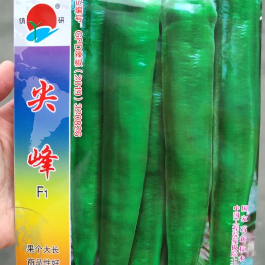 南昌尖峰椒辣椒种子，1000粒
