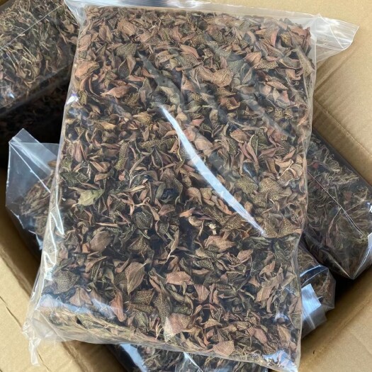 和平县金线莲红霞小圆叶新货整株无碎品相好包邮