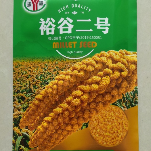 顺平县 裕谷二号白壳黄谷种子小米种子抗除草剂一类米